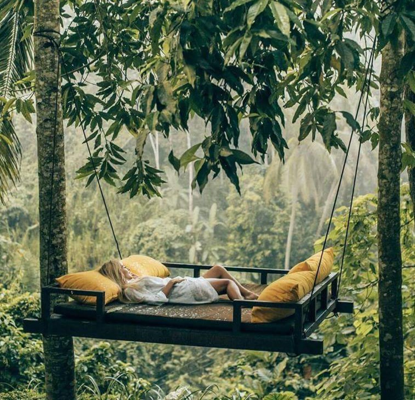 psychoterapia indywidualna gdansk gdynia psychoterapia indywidualna gdansk gdynia